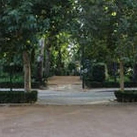 Fabuloso Piso Junto A Paseo De La Bomba Granada Luaran gambar