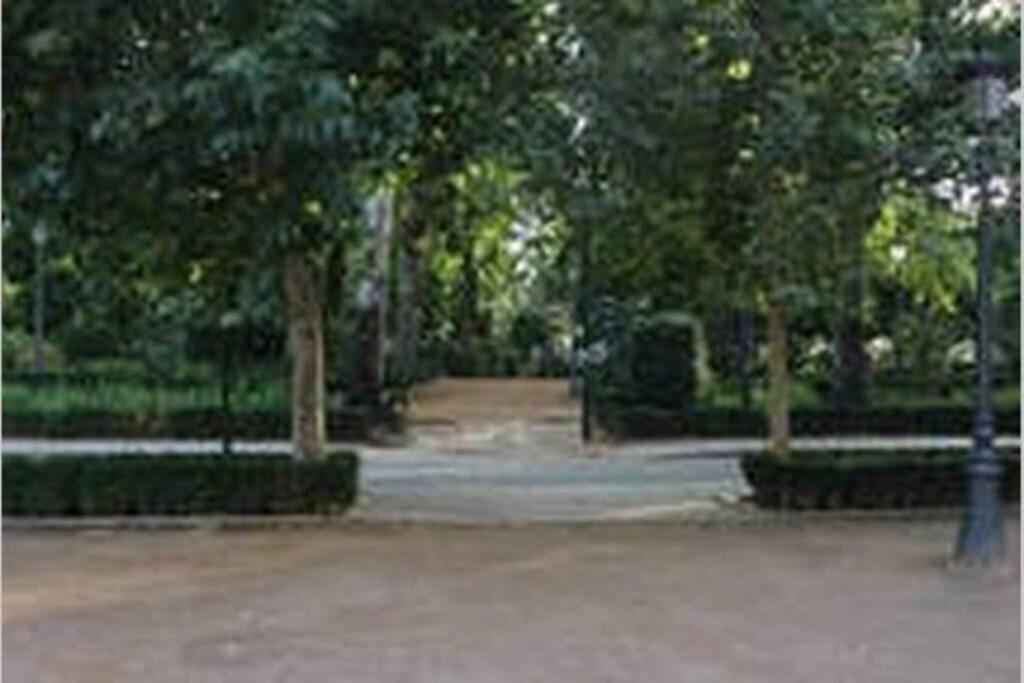 Fabuloso Piso Junto A Paseo De La Bomba Granada Luaran gambar